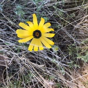 Meet your Posher, Addie